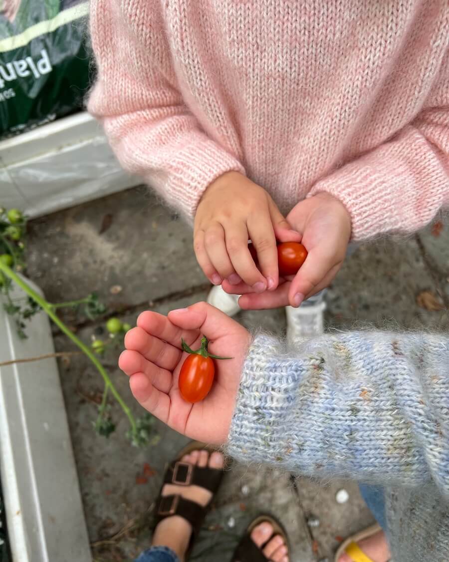 Miniaturebillede 6